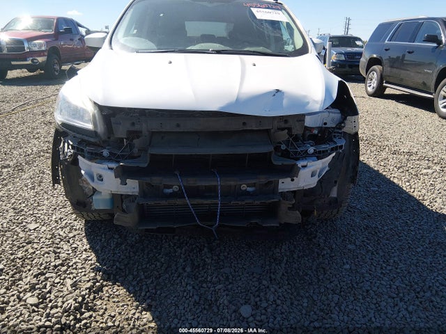 Ford ESCAPE SE 2016 1FMCU9G9XGUA68573 Image 6