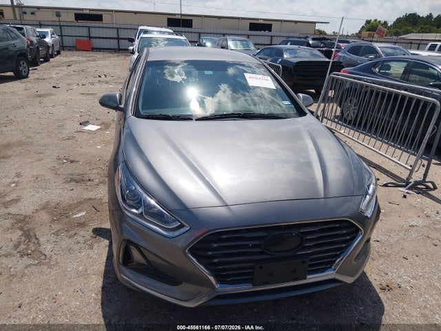 Продаж на аукціоні авто 2019 Hyundai Sonata Se, vin: 5NPE24AF7KH801959, номер лоту: 45561166
