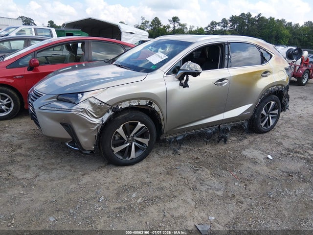 Lexus NX 300H 2019 JTJBJRBZ2K2110638 Image 2