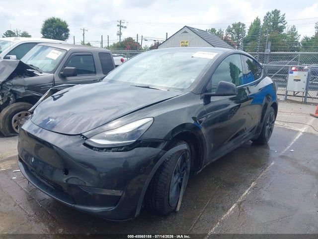Продаж на аукціоні авто 2025 Tesla Model Y Long Range Dual Motor Rear-wheel Drive, vin: 7SAYGDED6SA352618, номер лоту: 45565188