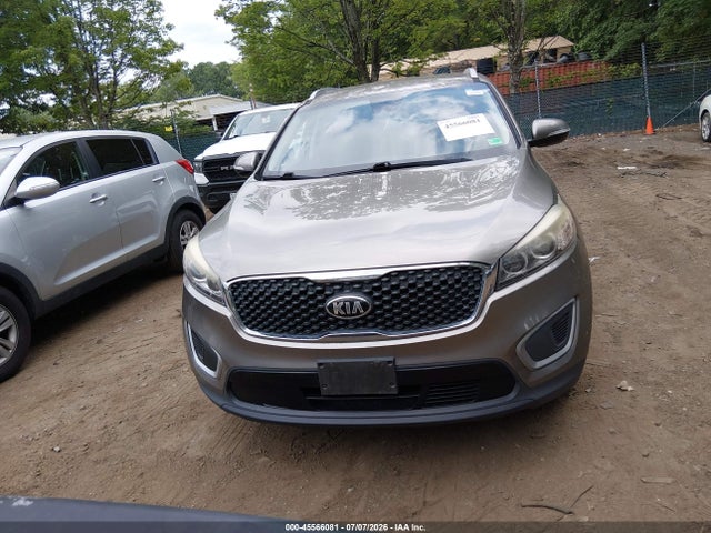 Auction sale of the 2017 Kia Sorento 3.3l Lx, vin: 5XYPGDA52HG227384, lot number: 45566081