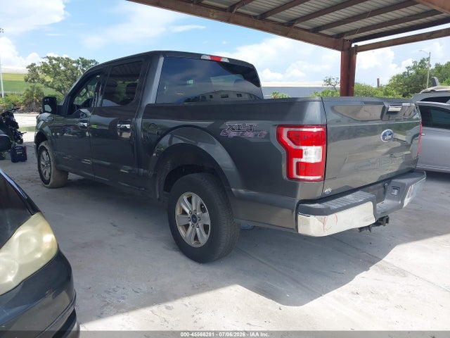 45566281 :رقم المزاد ، 1FTEW1C59KFA64569 vin ، 2019 Ford F-150 Xlt مزاد بيع