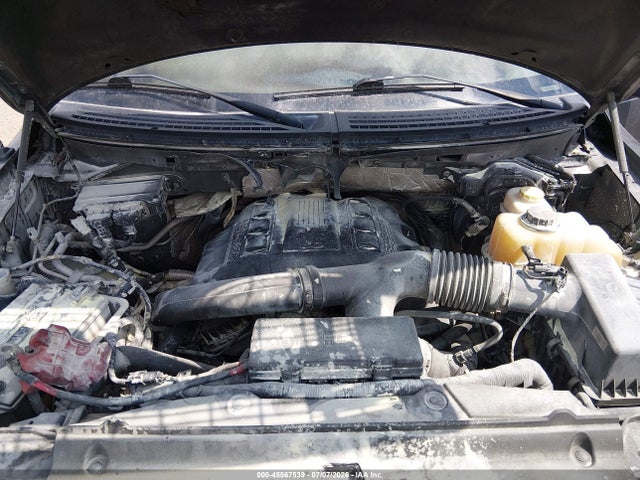 45567539 :رقم المزاد ، 1FTFX1ET9DFD55959 vin ، 2013 Ford F-150 Fx4/lariat/xl/xlt مزاد بيع