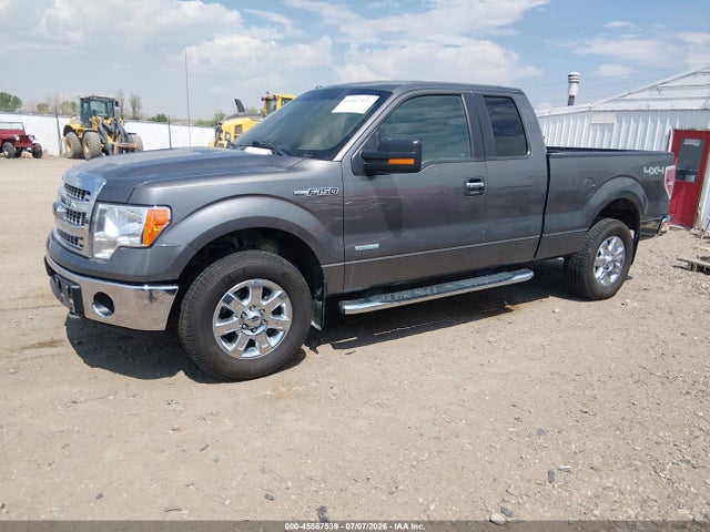 45567539 :رقم المزاد ، 1FTFX1ET9DFD55959 vin ، 2013 Ford F-150 Fx4/lariat/xl/xlt مزاد بيع