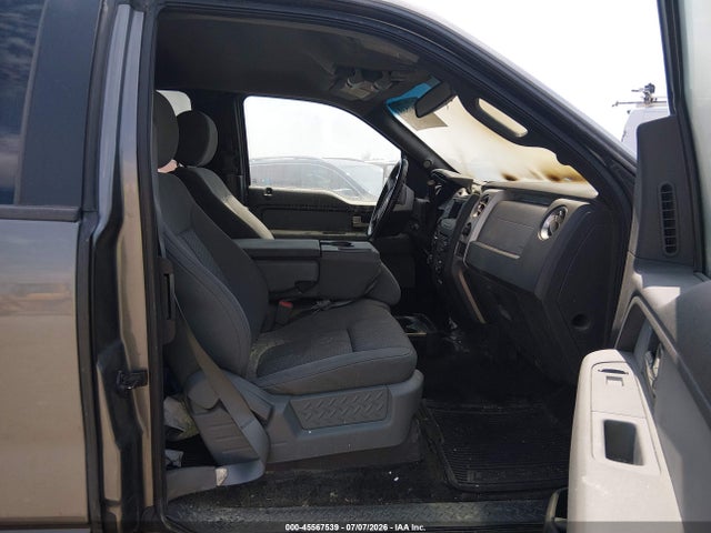 45567539 :رقم المزاد ، 1FTFX1ET9DFD55959 vin ، 2013 Ford F-150 Fx4/lariat/xl/xlt مزاد بيع