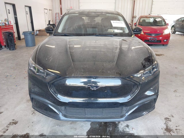 Ford Mustang Mach-e Premium 2024 3FMTK3SU9RMA04045 Image 12