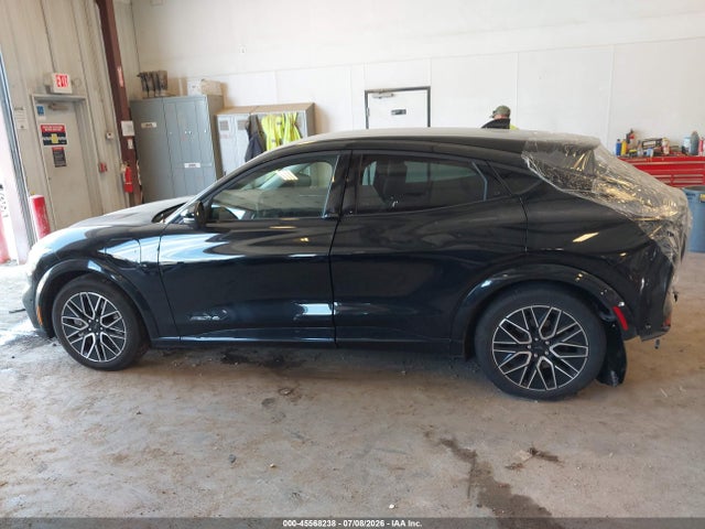 Ford Mustang Mach-e Premium 2024 3FMTK3SU9RMA04045 Image 14