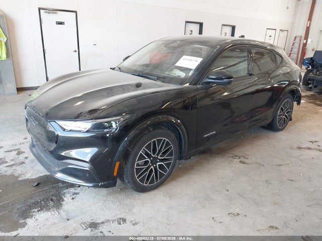 Ford Mustang Mach-e Premium 2024 3FMTK3SU9RMA04045 Image 2