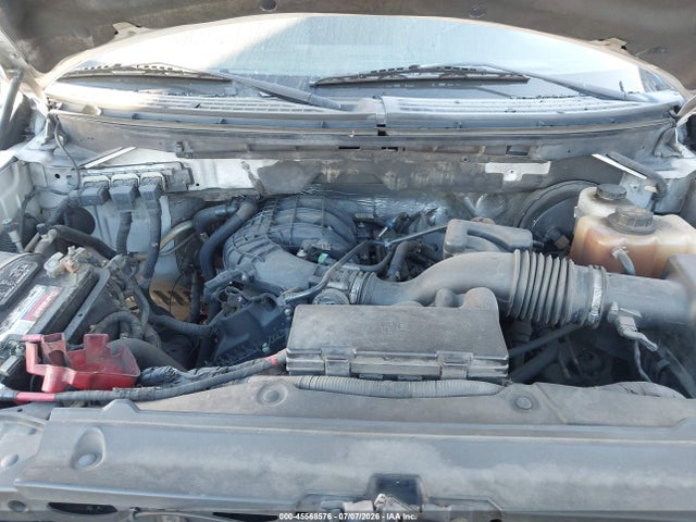 45568576 :رقم المزاد ، 1FTEX1CM1DFB30944 vin ، 2013 Ford F-150 Stx/xl/xlt مزاد بيع