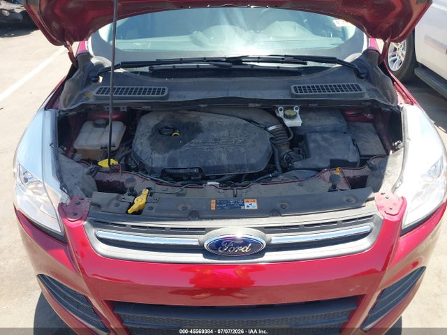 Ford ESCAPE SE 2014 1FMCU0GX1EUE41068 Image 10