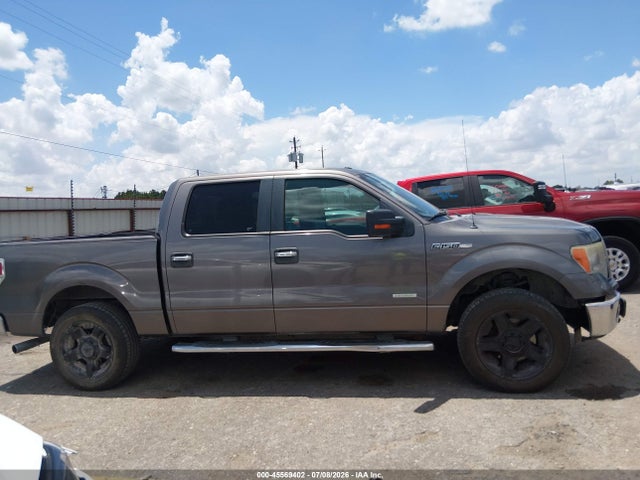 45569402 :رقم المزاد ، 1FTFW1CT4DKF78018 vin ، 2013 Ford F-150 Fx2/king Ranch/lariat/limited/platinum/xl/xlt مزاد بيع
