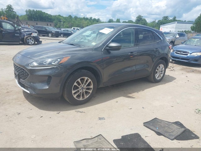Продаж на аукціоні авто 2020 Ford Escape Se, vin: 1FMCU9G69LUA43695, номер лоту: 45569718