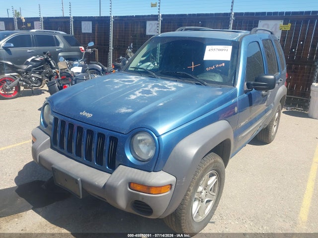 Продаж на аукціоні авто 2004 Jeep Liberty Sport, vin: 1J4GL48K84W245306, номер лоту: 45570091