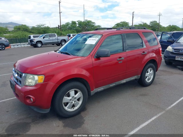 Auction sale of the 2011 Ford Escape Xlt, vin: 1FMCU9D76BKB84604, lot number: 45570484