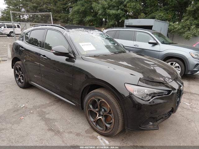 Продаж на аукціоні авто 2025 Alfa Romeo Stelvio, vin: ZASPAKAN4S7E04373, номер лоту: 45570930
