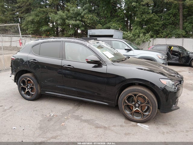 Продаж на аукціоні авто 2025 Alfa Romeo Stelvio, vin: ZASPAKAN4S7E04373, номер лоту: 45570930