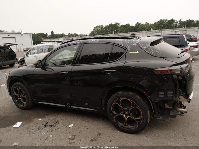 Продаж на аукціоні авто 2025 Alfa Romeo Stelvio, vin: ZASPAKAN4S7E04373, номер лоту: 45570930
