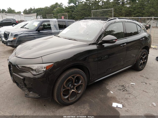 Продаж на аукціоні авто 2025 Alfa Romeo Stelvio, vin: ZASPAKAN4S7E04373, номер лоту: 45570930