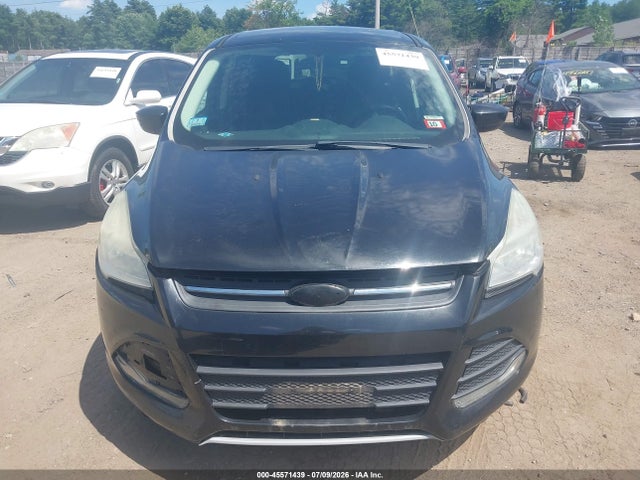 Ford ESCAPE SE 2014 1FMCU9GX3EUC69968 Image 6