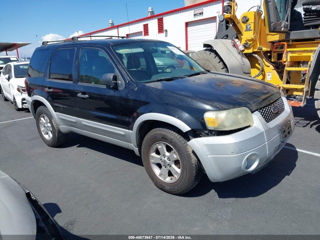 Auction sale of the 2007 Ford Escape Xlt/xlt Sport, vin: 1FMYU03137KA05604, lot number: 45573947