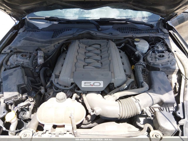 1FA6P8CF3H5250244 Ford Mustang Gt/gt Premium