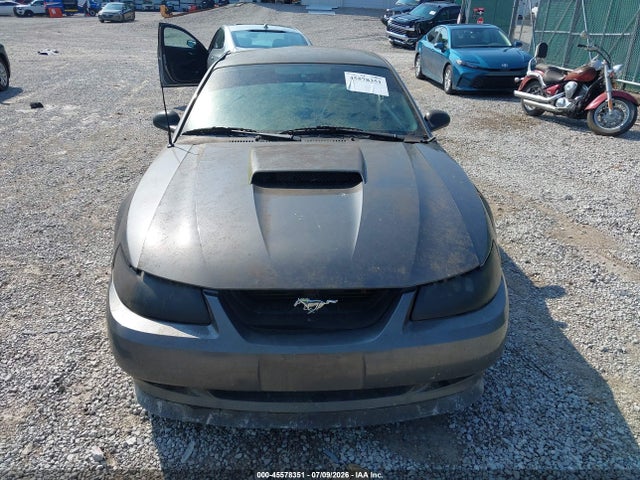 45578351 :رقم المزاد ، 1FAFP42X53F341585 vin ، 2003 Ford Mustang Gt مزاد بيع
