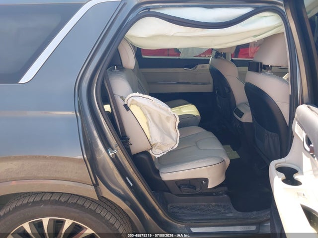 Aukcja sprzedaży 2024 Hyundai Palisade Calligraphy, vin: KM8R74GE6RU753528, numer aukcji: 45579219