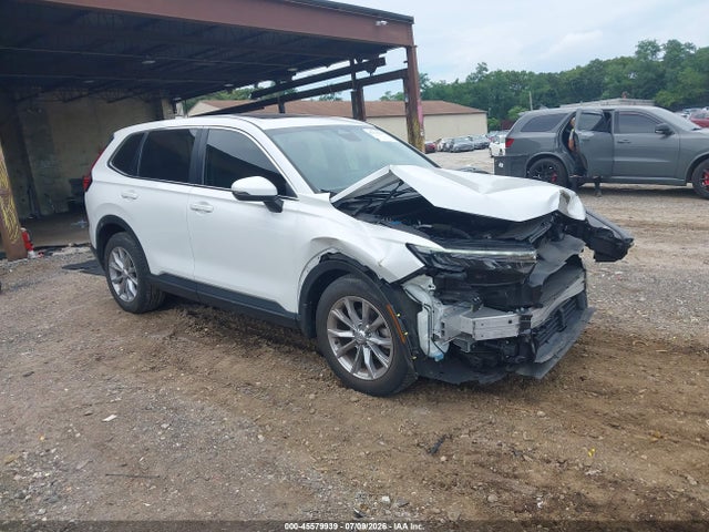 45579939 :رقم المزاد ، 2HKRS4H42PH405614 vin ، 2023 Honda Cr-v Ex Awd مزاد بيع