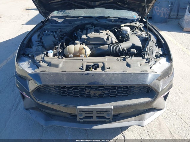 Ford Mustang Ecoboost Fastback 2020 1FA6P8TH0L5191809 Image 10