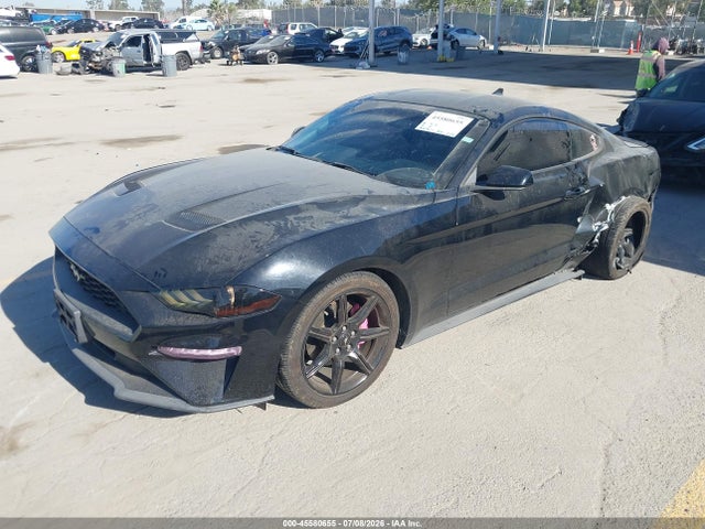 Ford Mustang Ecoboost Fastback 2020 1FA6P8TH0L5191809 Image 2
