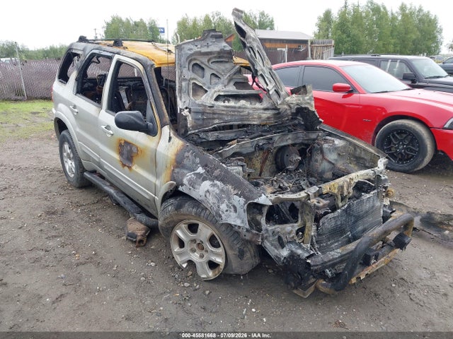 Продаж на аукціоні авто 2004 Ford Escape Limited, vin: 1FMCU94104KA53649, номер лоту: 45581668