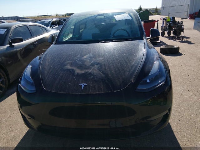Продаж на аукціоні авто 2021 Tesla Model Y Performance Dual Motor All-wheel Drive, vin: 5YJYGDEFXMF252669, номер лоту: 45583536