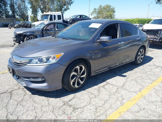 1HGCR2F81GA104692 Honda Accord Ex-l