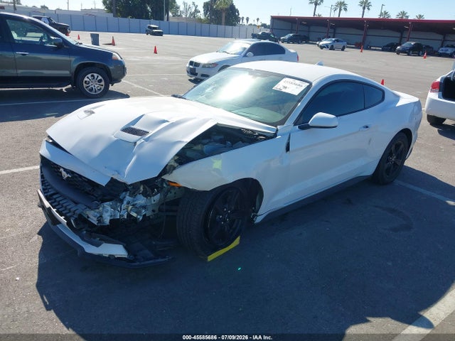 Ford Mustang Ecoboost Fastback 2020 1FA6P8TH3L5179427 Image 2
