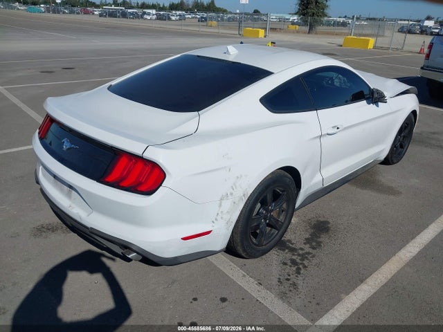 Ford Mustang Ecoboost Fastback 2020 1FA6P8TH3L5179427 Image 4