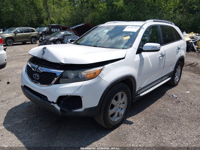 Продаж на аукціоні авто 2013 Kia Sorento Lx V6, vin: 5XYKTDA21DG310813, номер лоту: 45585705