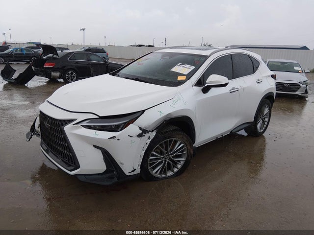 Auction sale of the 2023 Lexus Nx 350h Premium, vin: JTJGKCEZXP5007713, lot number: 45586606