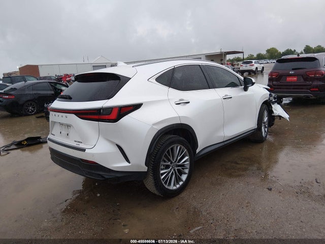 45586606 :رقم المزاد ، JTJGKCEZXP5007713 vin ، 2023 Lexus Nx 350h Premium مزاد بيع