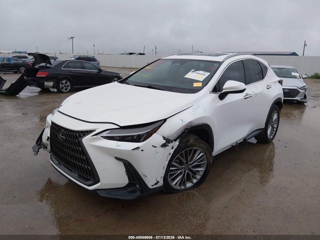 45586606 :رقم المزاد ، JTJGKCEZXP5007713 vin ، 2023 Lexus Nx 350h Premium مزاد بيع