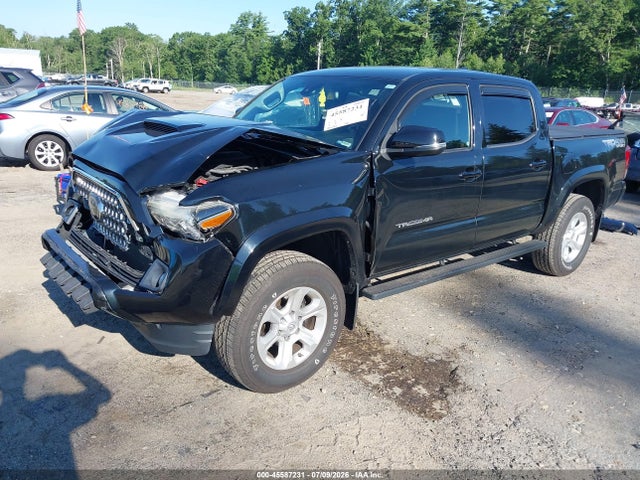 3TMCZ5AN7JM174690 Toyota Tacoma Trd Sport