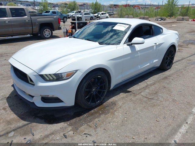 1FA6P8AMXH5272582 Ford Mustang V6