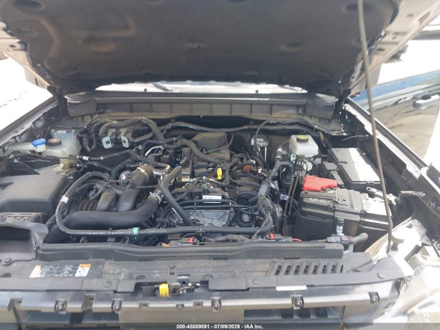 2024 Ford Bronco Big Bend მანქანა იყიდება აუქციონზე, vin: 1FMDE7BH2RLB07346, აუქციონის ნომერი: 45589591