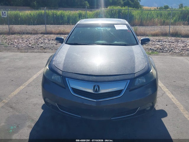 45591291 :رقم المزاد ، 19UUA9F59DA005253 vin ، 2013 Acura Tl 3.7 مزاد بيع
