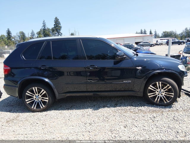 Aukcja sprzedaży 2013 Bmw X5 Xdrive35i/xdrive35i Premium/xdrive35i Sport Activity, vin: 5UXZV4C55D0G57049, numer aukcji: 45592086