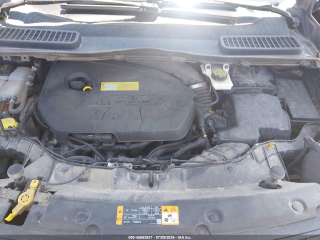 Ford ESCAPE SE 2014 1FMCU0GX5EUA28831 Image 10