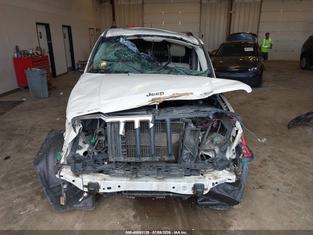 Auction sale of the 2010 Jeep Liberty Limited, vin: 1J4PN5GK8AW176419, lot number: 45593129