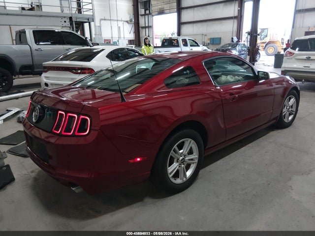 1ZVBP8AM3E5252899 Ford Mustang V6/v6 Premium