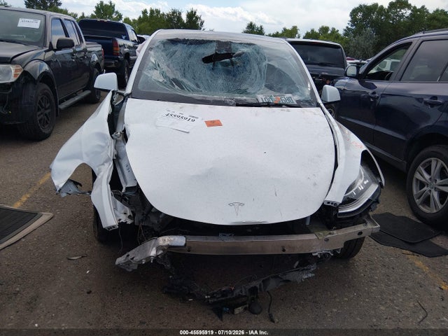 Продаж на аукціоні авто 2022 Tesla Model Y Long Range Dual Motor All-wheel Drive, vin: 7SAYGDEE2NF331801, номер лоту: 45595919