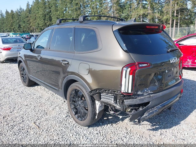 KIA Telluride Sx 2022 5XYP5DHC1NG243372 Image 3