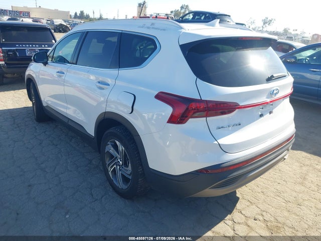 Hyundai Santa Fe Sel 2023 5NMS24AJ8PH606965 Image 3